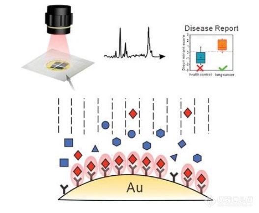 SERS技术在肺癌疾病的早期检测