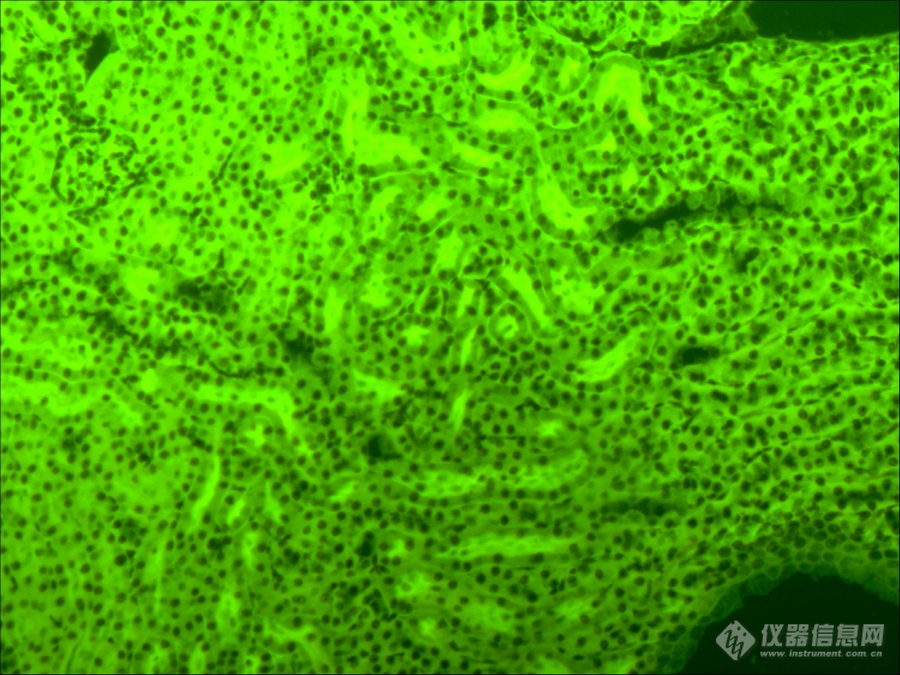 20220722-860919084.png 20220722-860919084.png