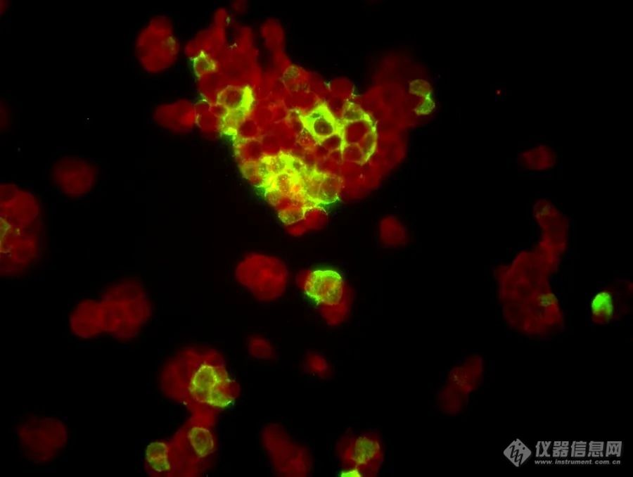 20220722-664882369.jpg 3.jpg