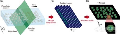 smsc202100126-fig-0001-m.webp.jpg