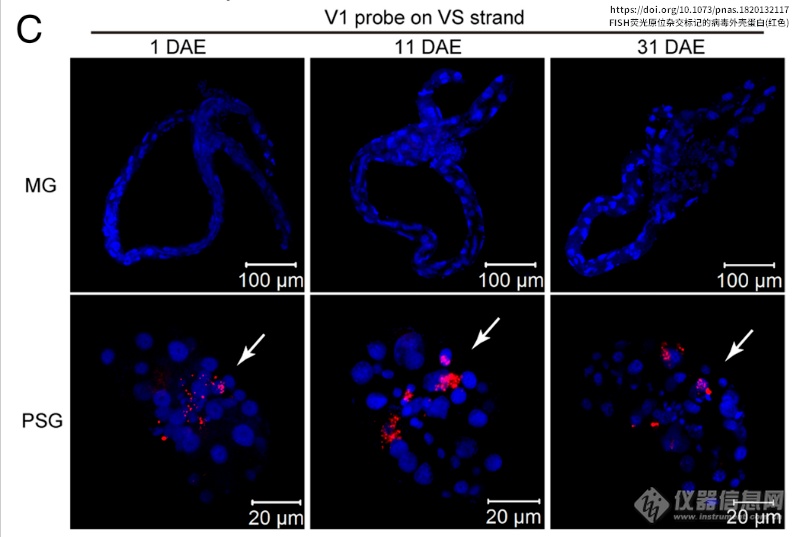 20220722-554833172.png 2.png