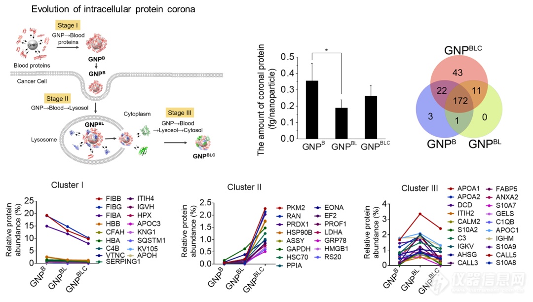 前沿合作∣岛津助力陈春英团队在PNAS上发表揭示细胞内纳米蛋白冠干扰蛋白稳态重塑细胞代谢