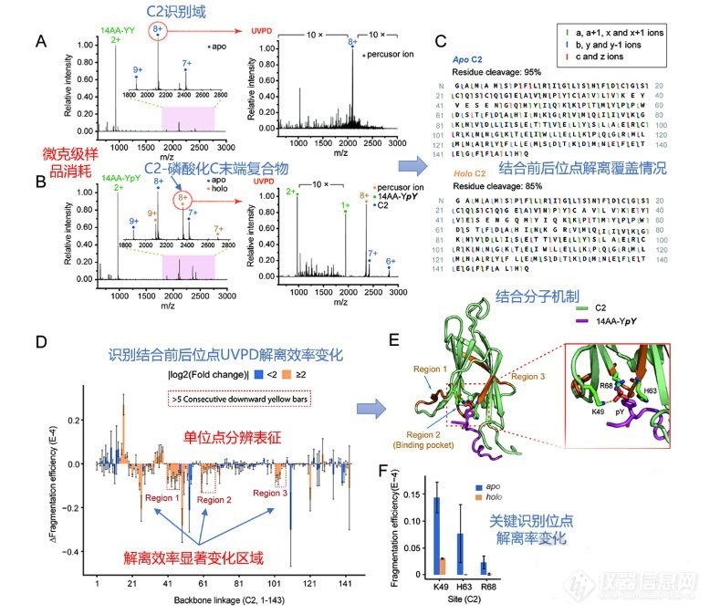 王方军：高能紫外激光解离质谱实现蛋白质识别机制解析