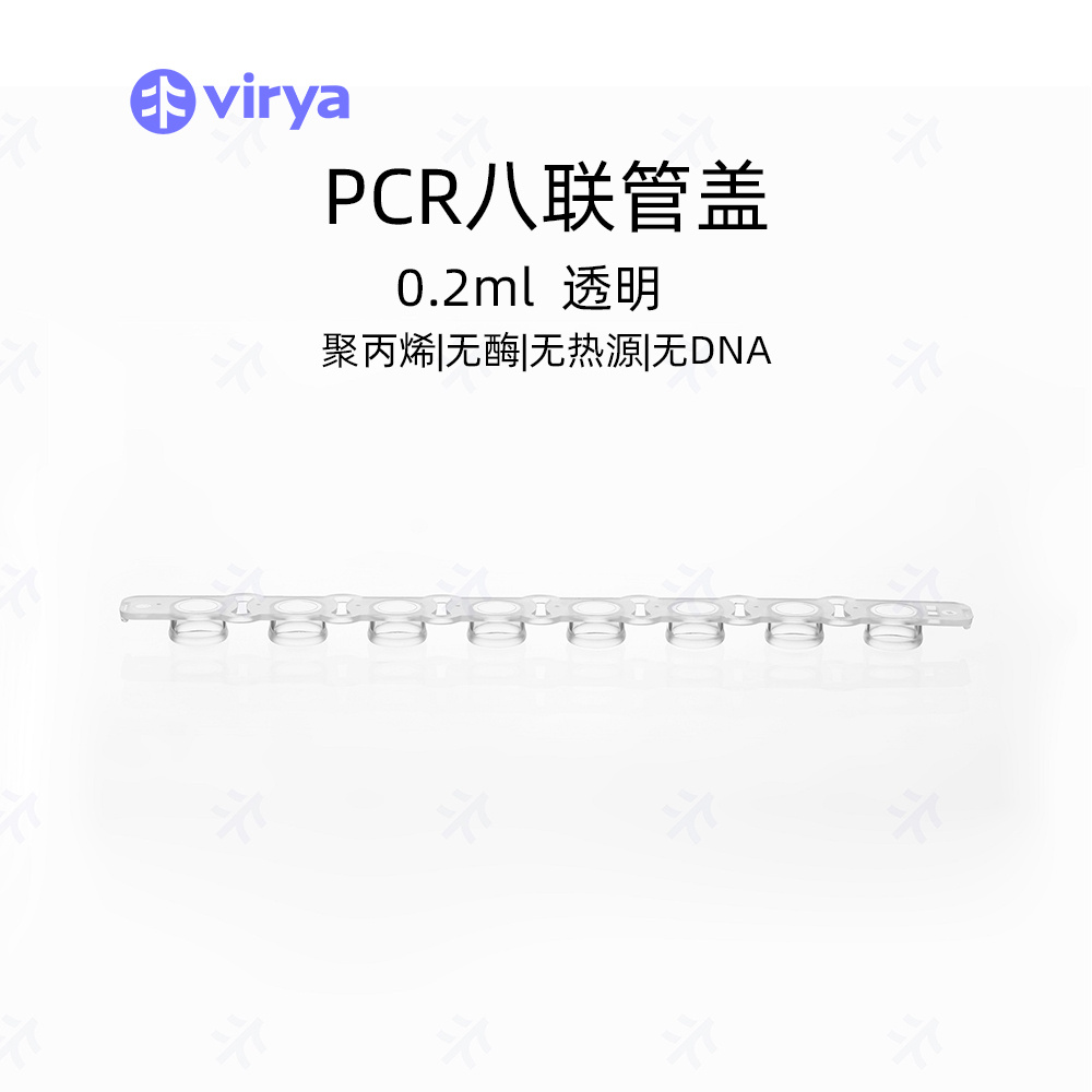 Virya  3319231 0.2mlPCR单管  透明子 弹头管  PP材质 荧光定量 PCR