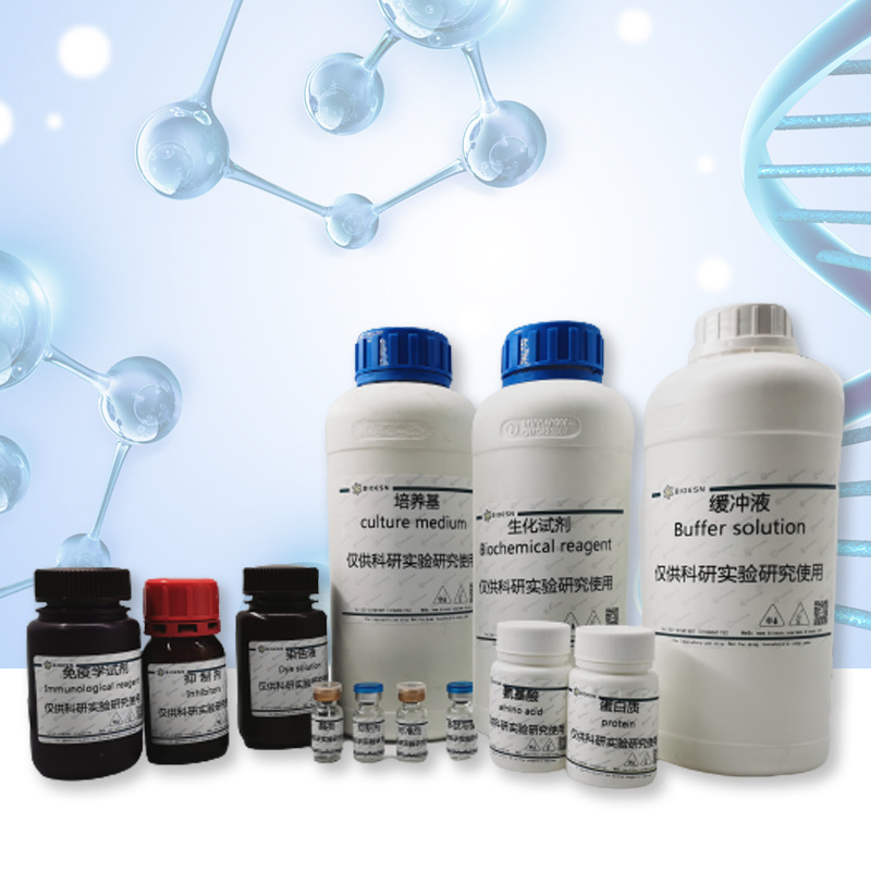 Gelatin Veronal Buffer with Mg++ and EGTA （GVBMG）（含Mg++和EGTA的明胶弗洛拿缓冲液）