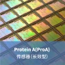 Protein A(ProA) 传感器（长效型）