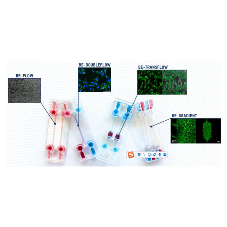 BEOnChip 细胞培养微流控芯片