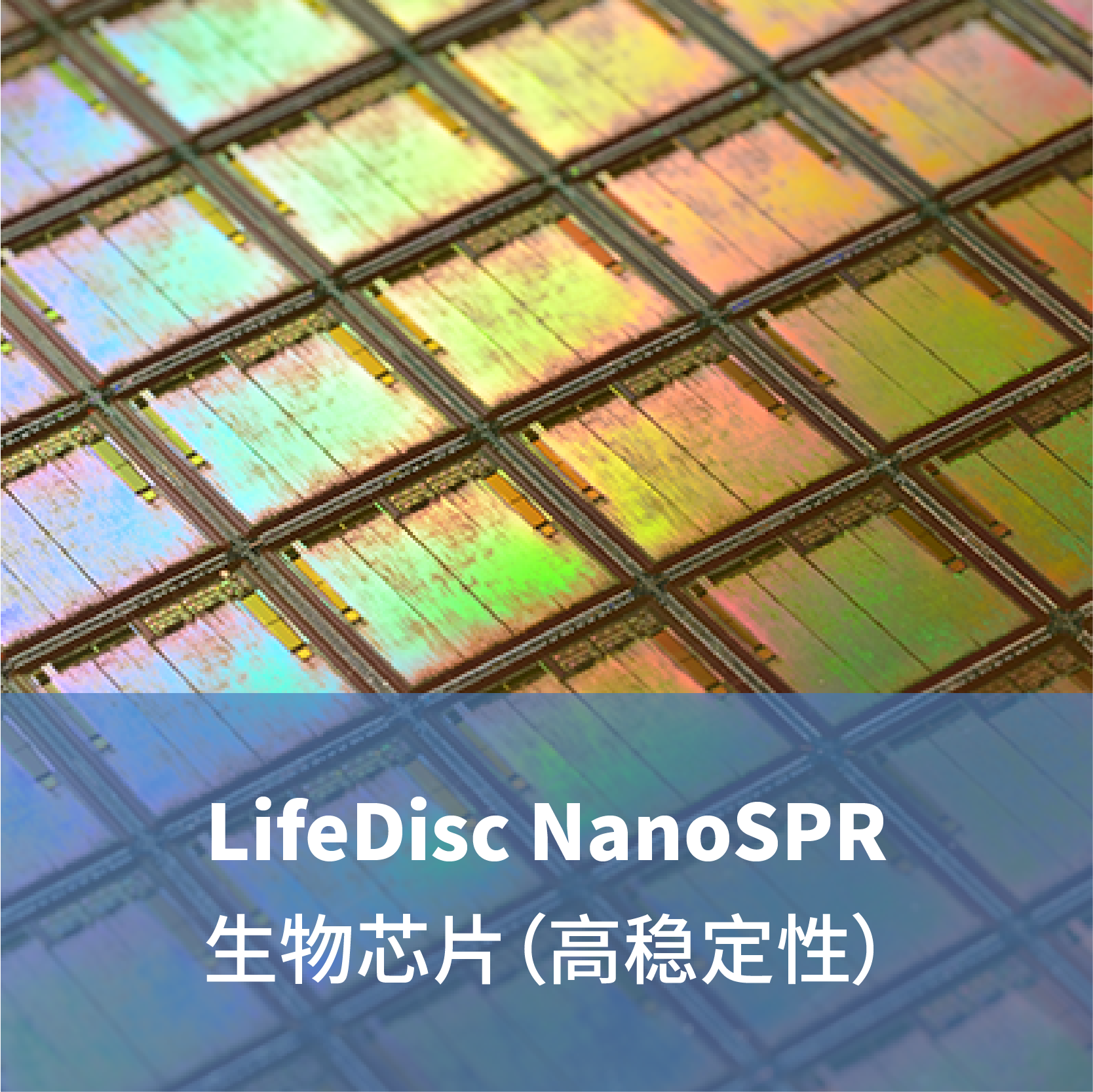 LifeDisc MetaSPR生物芯片（高稳定性）
