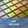 AAV 传感器