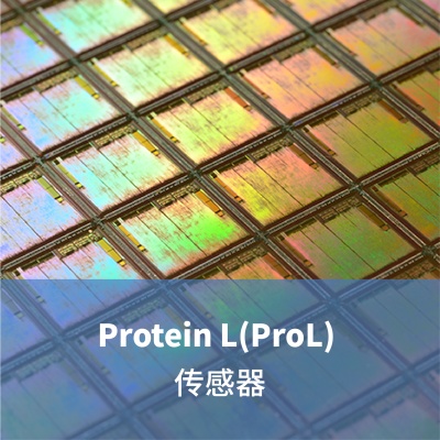 Protein L(ProL) 传感器