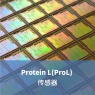 Protein L(ProL) 传感器