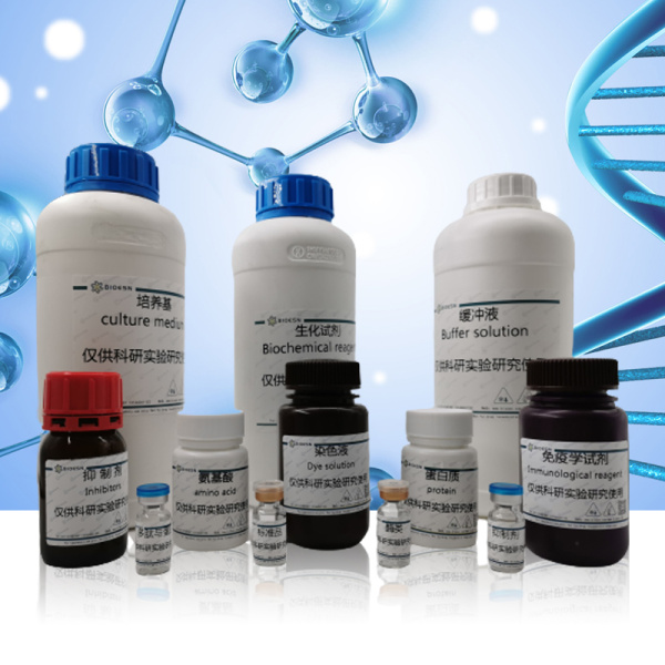 DNA5’末端标记试剂盒