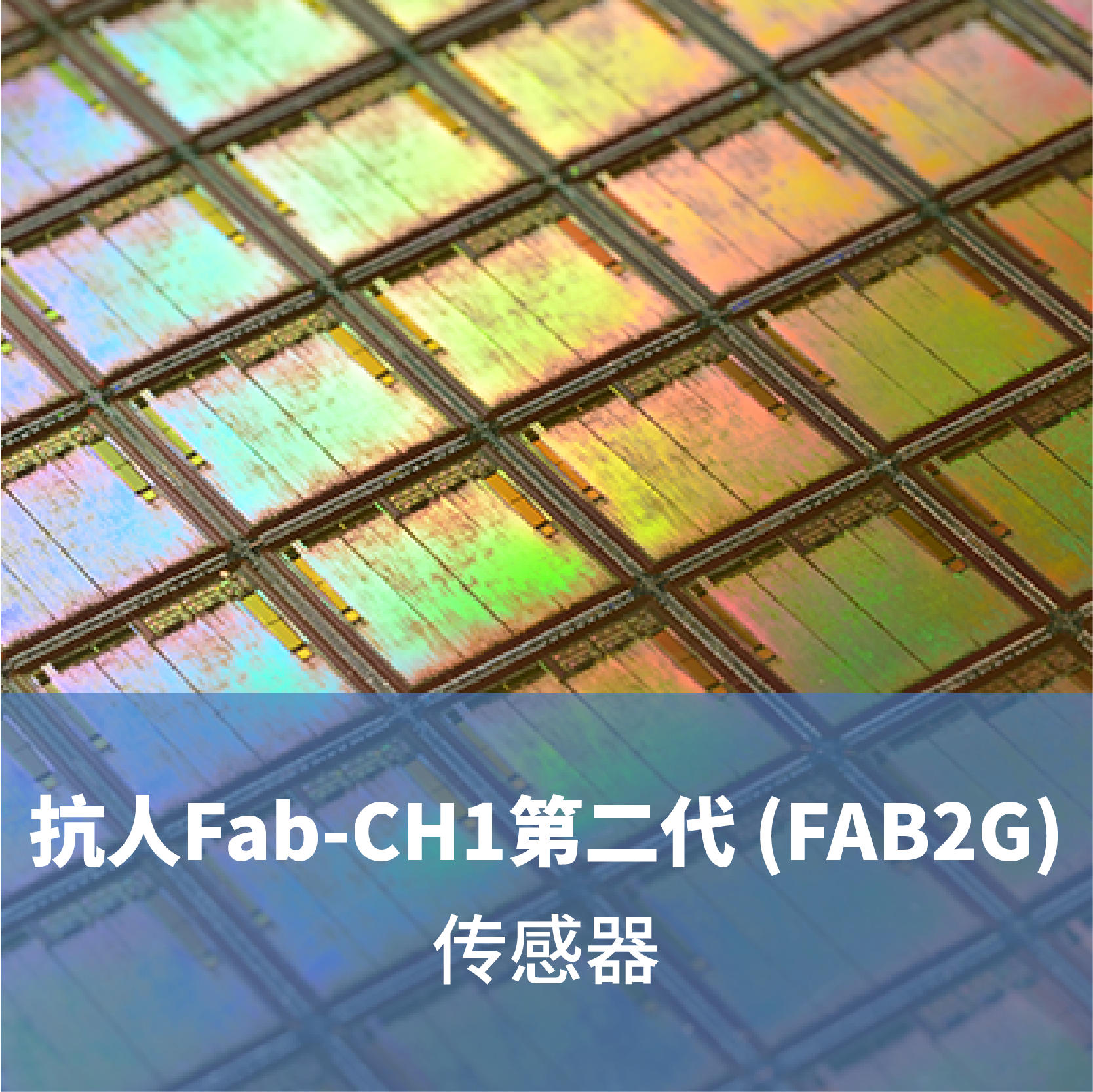 抗人Fab-CH1第二代 (FAB2G)传感器
