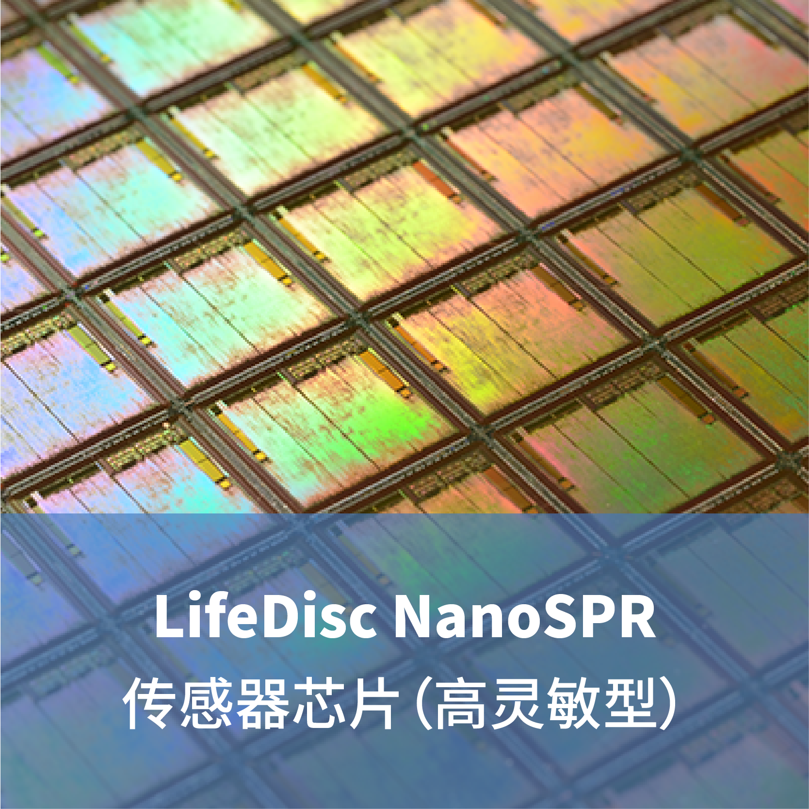 LifeDisc MetaSPR传感器芯片（高灵敏型）