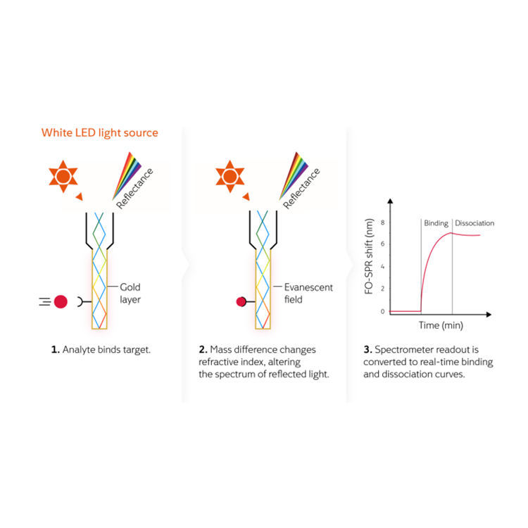 Fox Biosystems 无标记光纤SPR生物分子相互作用仪
