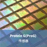 Protein G(ProG) 传感器