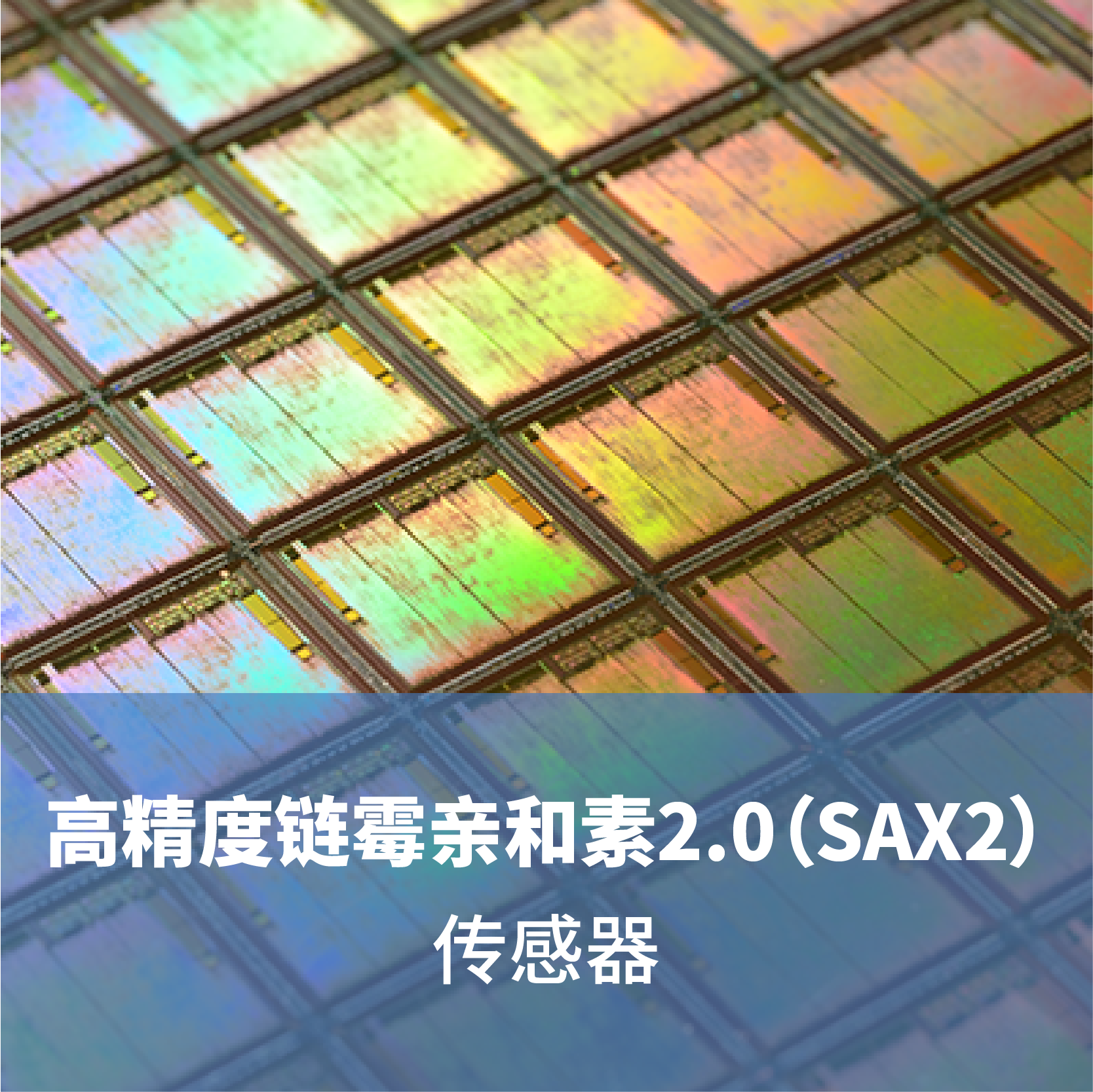 高精度链霉亲和素2.0（SAX2）传感器