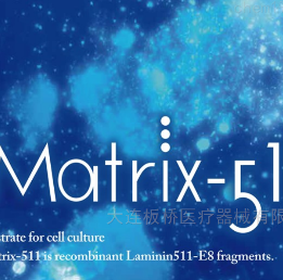 iMatrix-511 基质胶