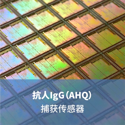 抗人IgG（AHQ）捕获传感器