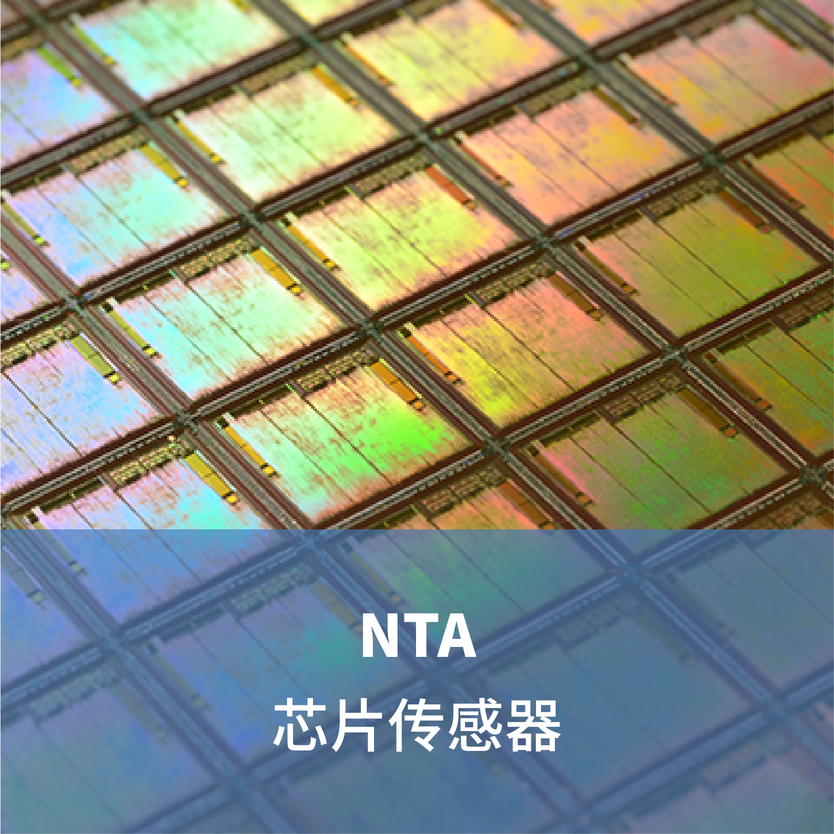 NTA 芯片传感器