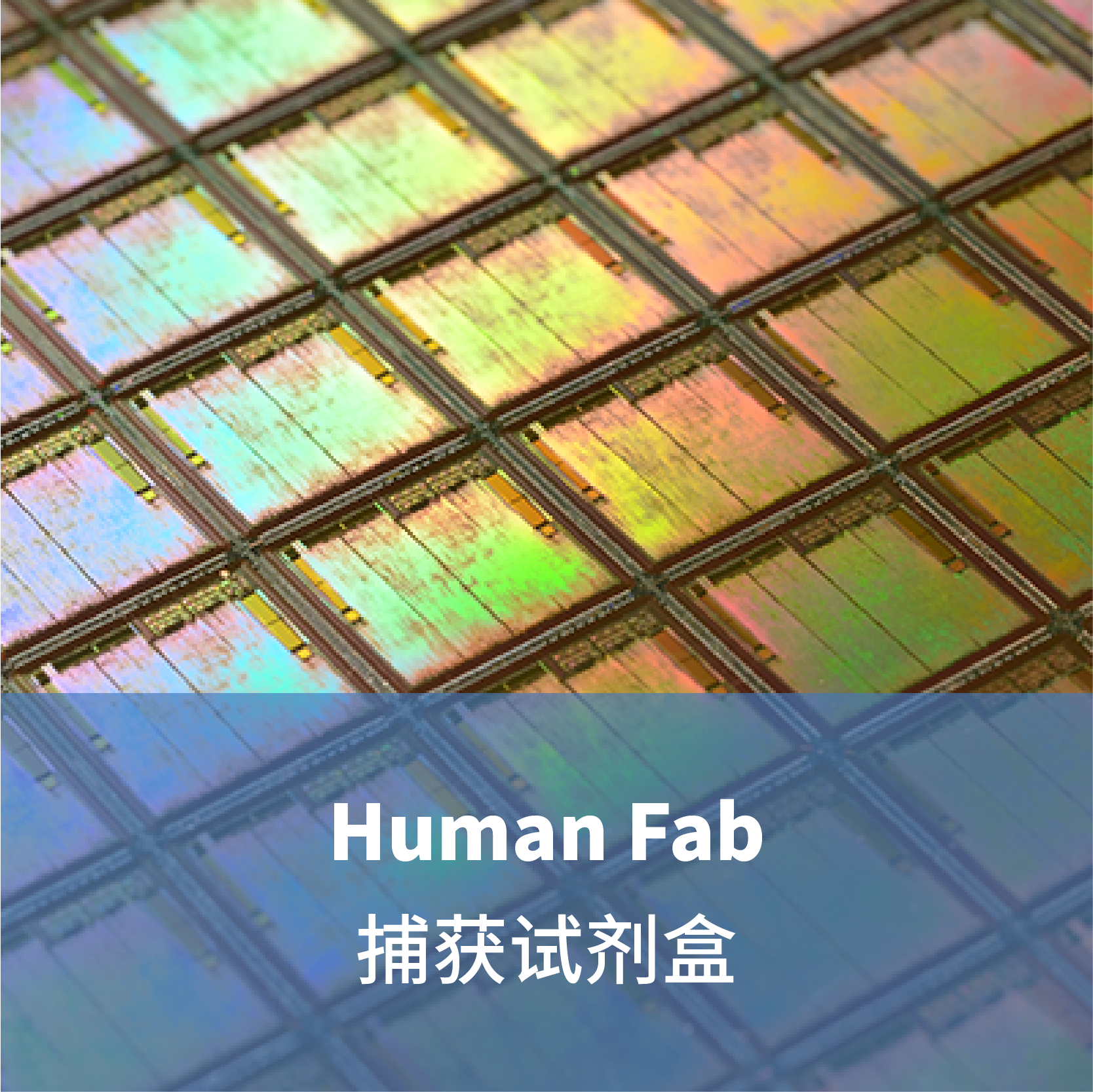 Human Fab 捕获试剂盒