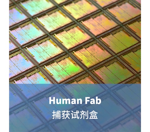 Human Fab 捕获试剂盒