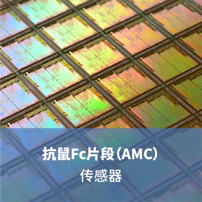 抗鼠Fc片段（AMC）传感器