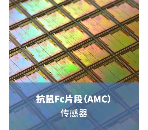 抗鼠Fc片段（AMC）传感器