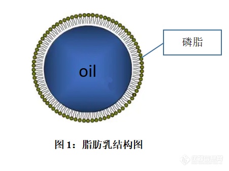 Bettersize2600激光粒度分析仪检测脂肪乳粒度研究