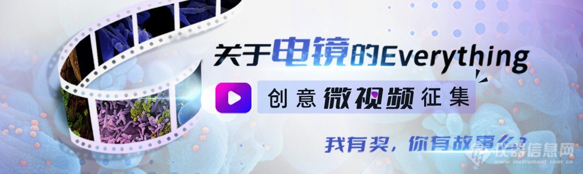 获奖名单揭晓 | 【电镜微视频征集】活动圆满结束！