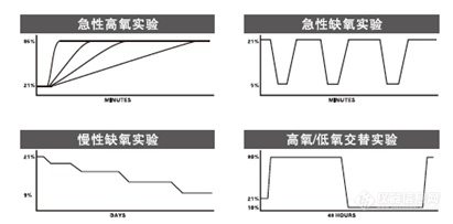 动物低氧高氧实验系统(图1)