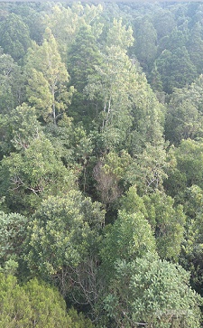 多光谱相机和激光雨滴谱在生态监测系统中的应用