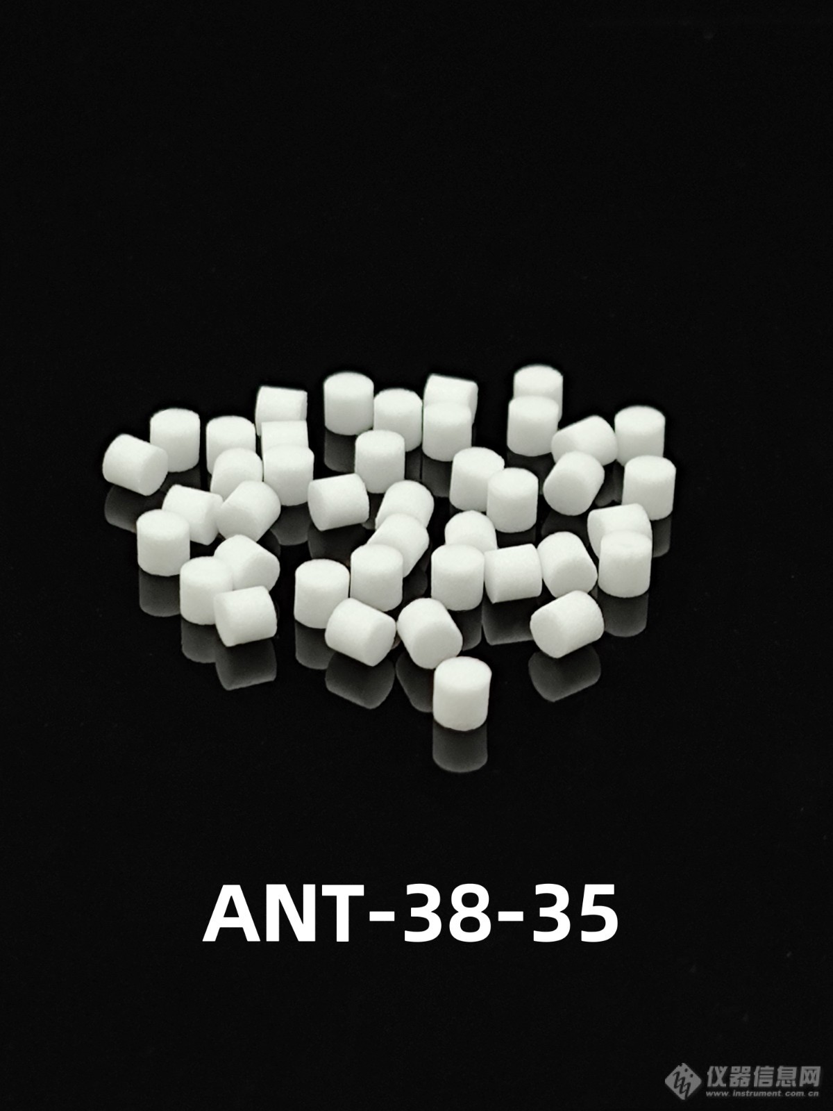 ANT-38-35.jpg