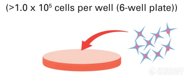 全新一代干细胞培养基(图2)
