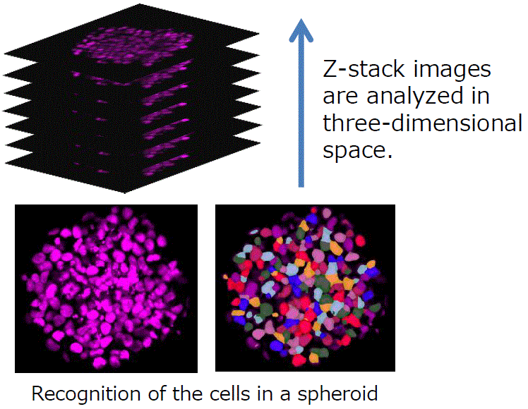 CellPathfinder