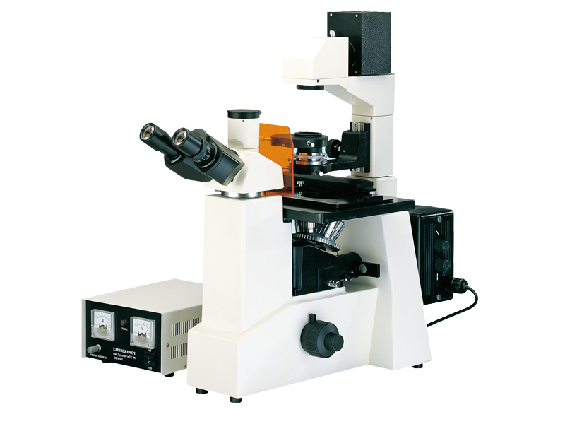 倒置荧光显微镜XDY-2 高清视频测量分析