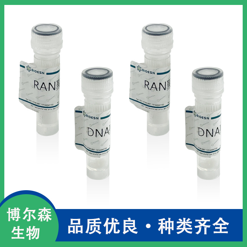 RNase A溶液，10 mg/mL