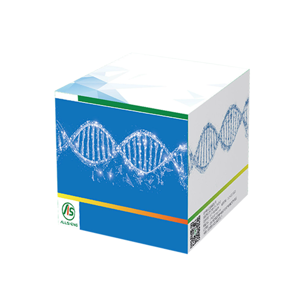 单链DNA — ssDNA 高灵敏度定量分析试剂盒