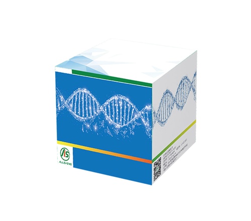 单链DNA — ssDNA 高灵敏度定量分析试剂盒