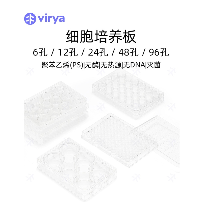 3511209  Virya  细胞培养板  等离子处理12孔板  灭菌处理 TC贴壁培养系列
