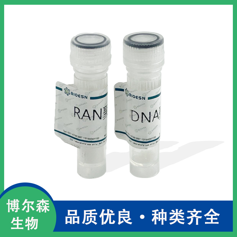 RNase A溶液，10 mg/mL