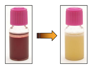 L04金黄色葡萄球菌快速检测瓶