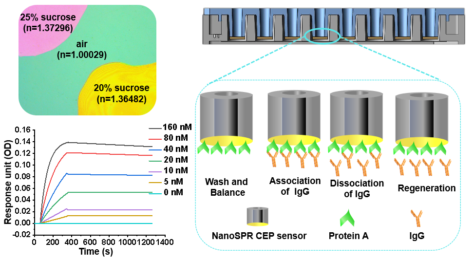 国产生物芯片新突破 引领桌面式高通量NanoSPR分子互作系统