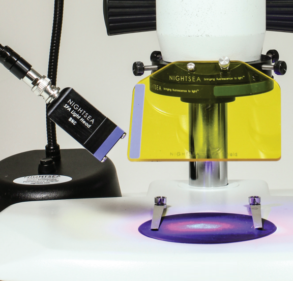 显微镜适配荧光发生器