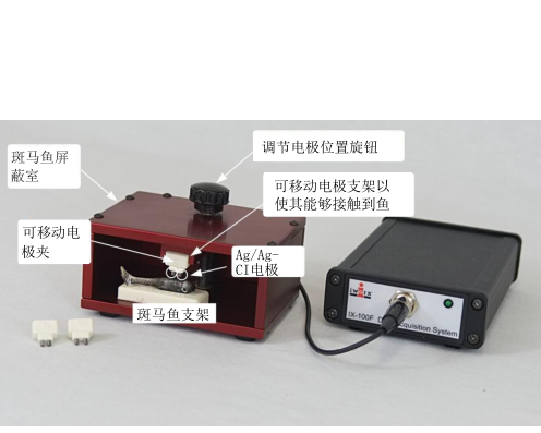 斑马鱼心电测量仪，斑马鱼心电采集系统