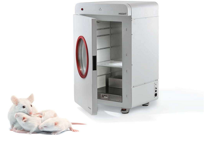 小动物脂肪骨密度测量仪，大鼠骨密度测量仪，小鼠骨密度测量仪