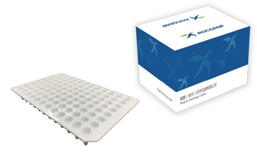 EasyPlate PCR 96孔板
