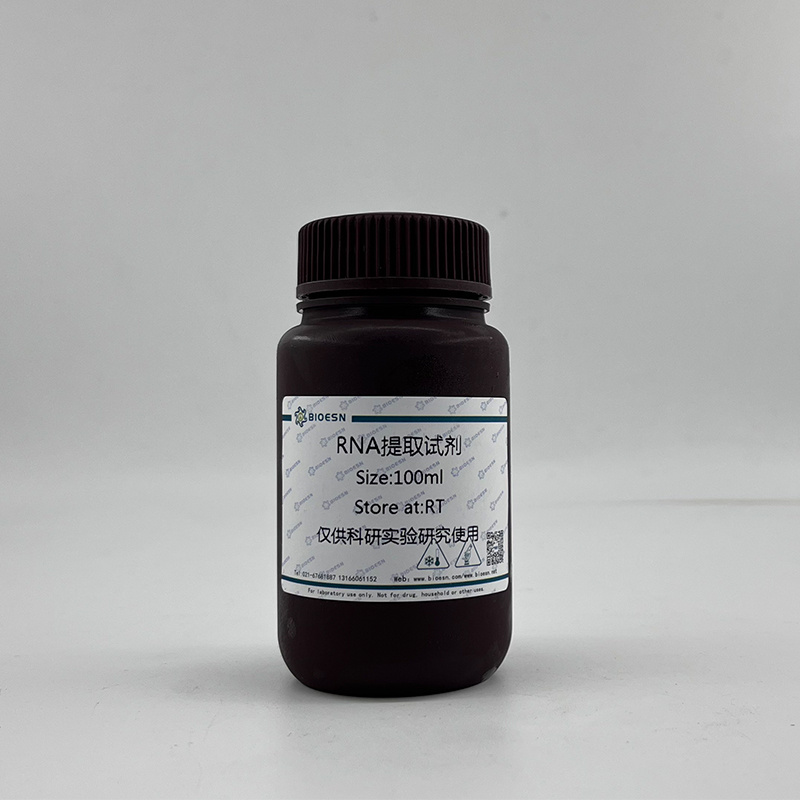 RNase清除剂A型（原固相RNase清除剂）（试用装）