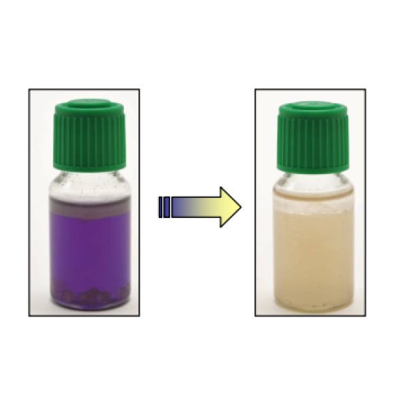 L05绿脓杆菌快速检测瓶