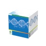 双链DNA — dsDNA 高灵敏度定量分析试剂盒